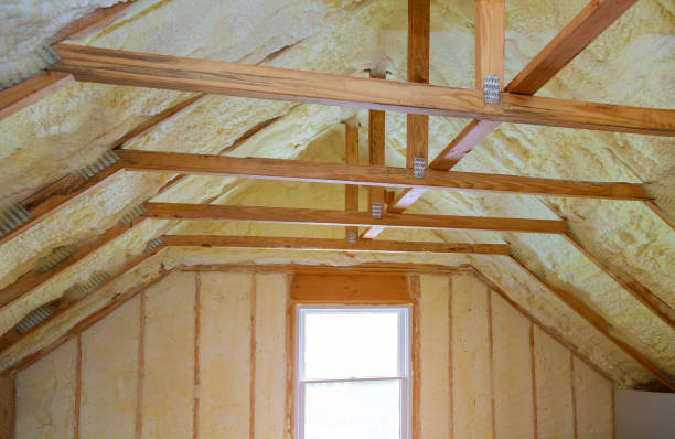 Best Eco-Friendly Insulation in Meridian, PA