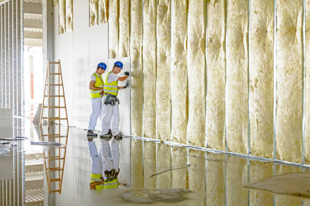 Best Energy Efficiency Insulation in Meridian, PA